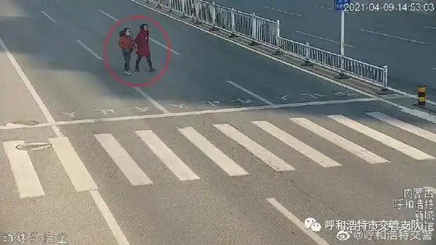 呼和浩特市抓拍车不让行人行人不走斑马线交警点名曝光