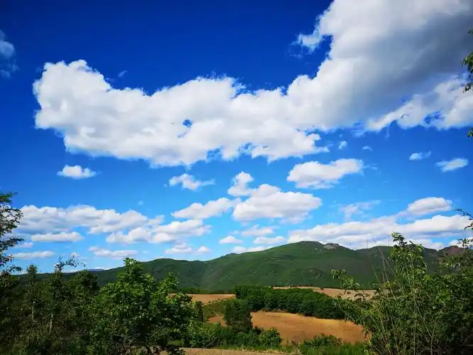 黑土,蓝天,密林,风光无限.
