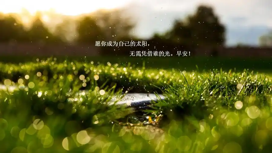 清新简约励志文字图片桌面壁纸高清大图预览1920x1080_高清壁纸下载