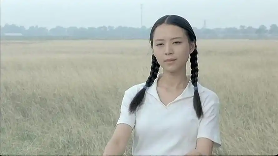 顾长卫电影孔雀一部时代的史诗一场心灵的反思