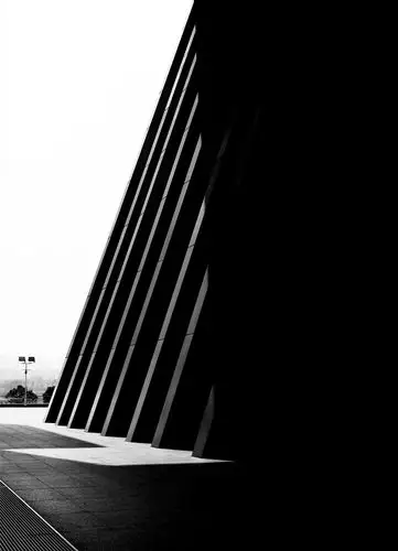 【耕光耘影】简约风格黑白照