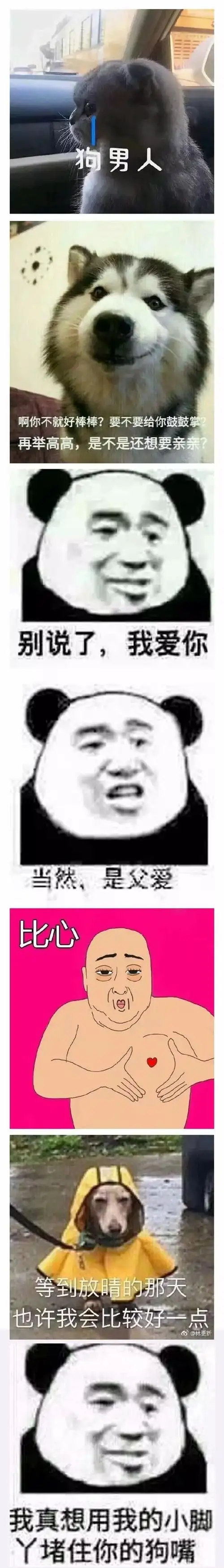 这是一条「怼人必胜」表情包合集