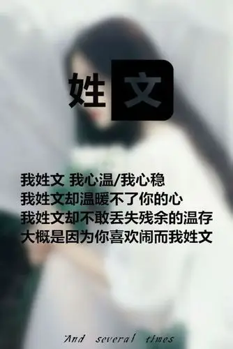 我姓文,求文姓的姓氏图片