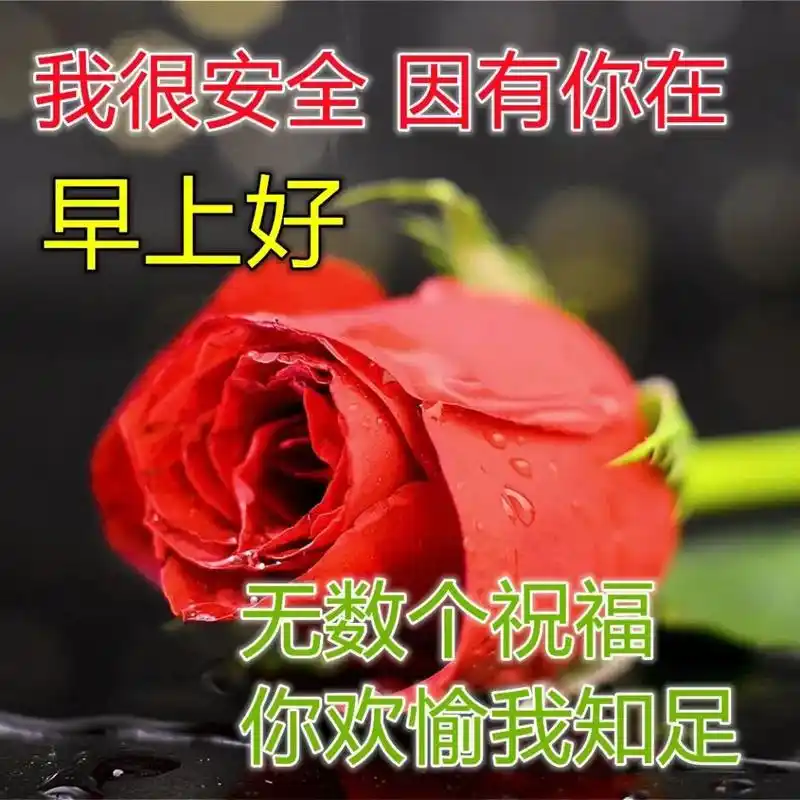 非常漂亮的早上好问候动态表情图片 最美早上好图片带字温馨