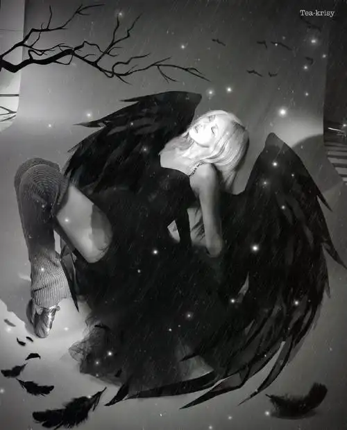 坠落天使08更新壁纸头像94#ros07