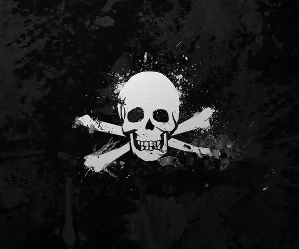 求几张图片 关于骷髅的酷图