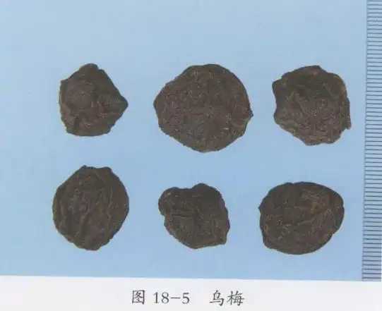 乌梅的功效与作用及禁忌中药乌梅图片