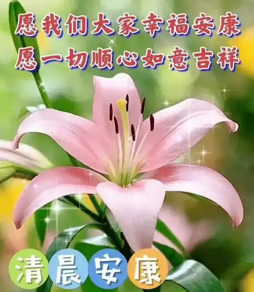 最新创意好看的早上好祝福图片,温馨唯美早安问候文字精选!