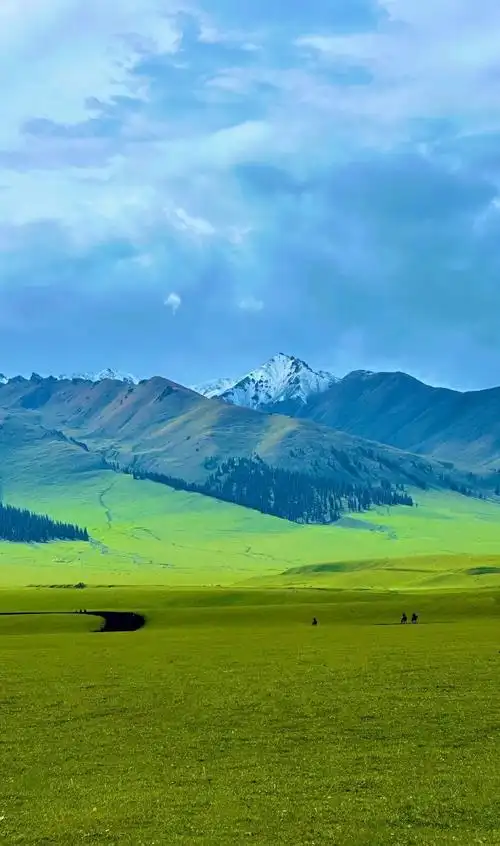 新疆大学生推小车收快递