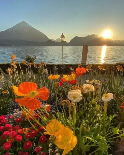 让人心情愉悦欢快的色调.