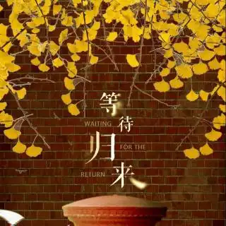 24节气秋分等待归来by沈伦