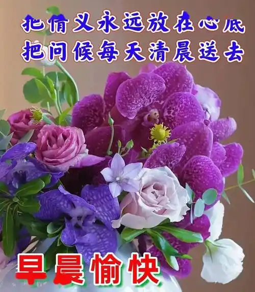 最新早上好祝福问候语精选,早上好暖心祝福问候语-早上好问候短句