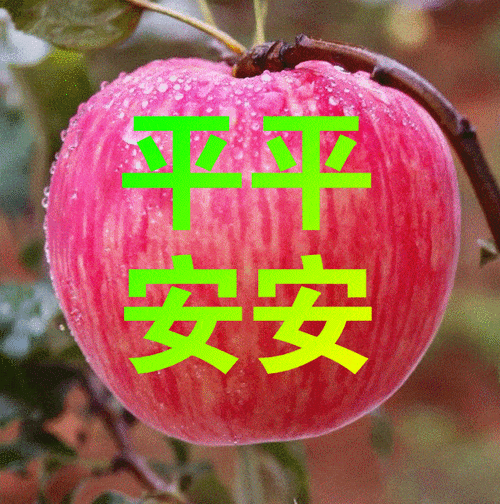 12月24日早上好动态表情图片大全_祝福_平安_一生