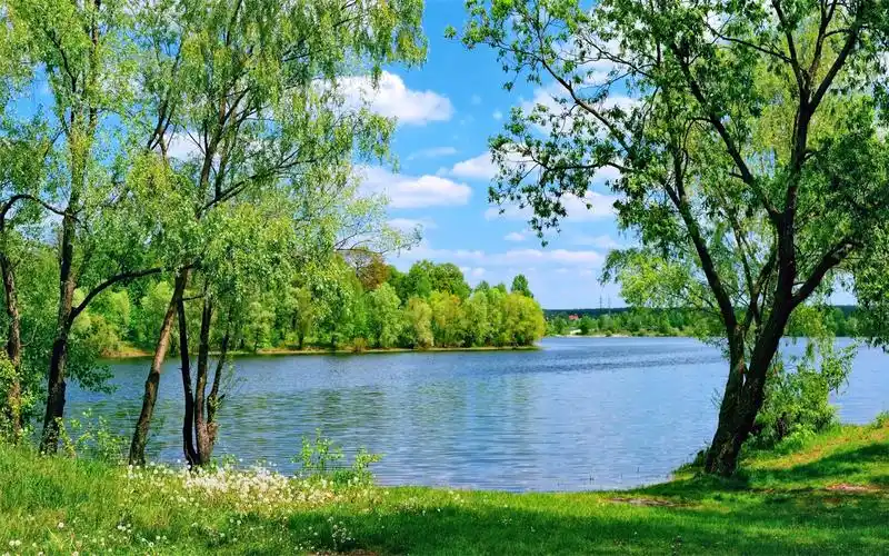大自然绿色森林高清桌面壁纸-风景壁纸-壁纸下载-美桌网