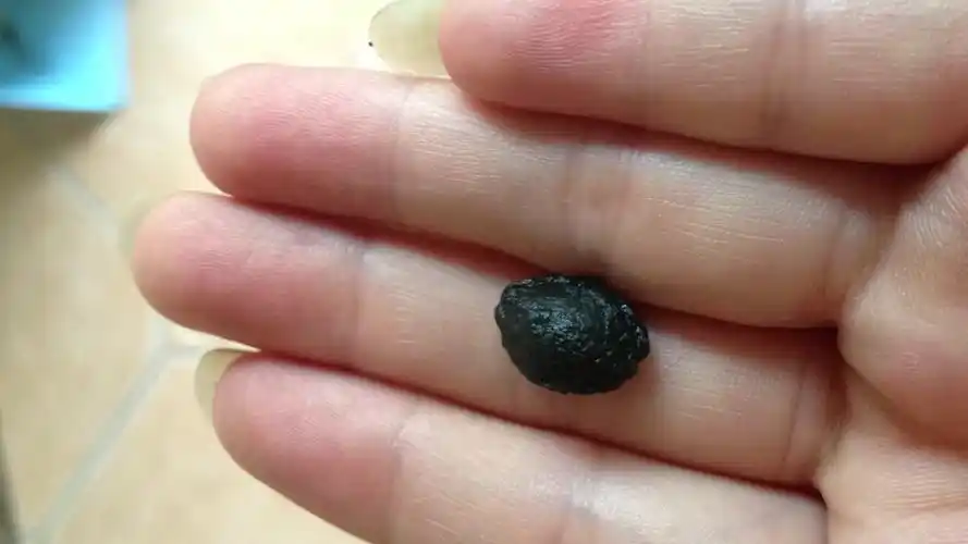 有没有人知道这个是乌梅的什么品种?哪里可以买到?急寻!!_百度知道