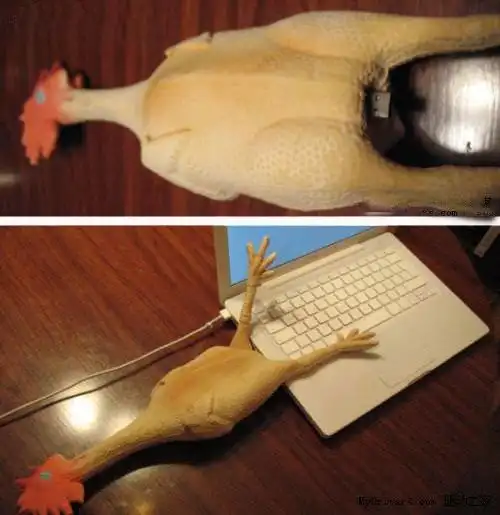 被拔光了鸡毛的u盘