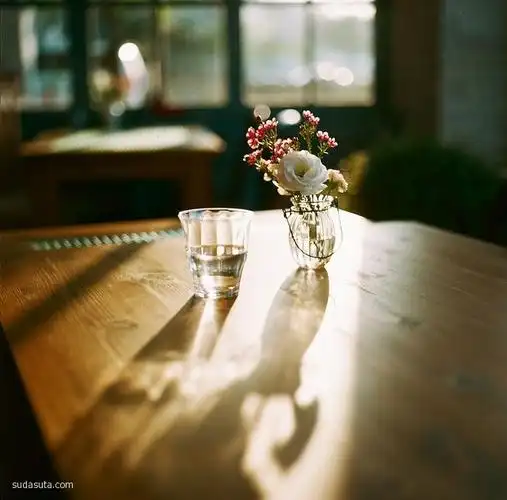 junghyun choi 唯美的生活摄影欣赏