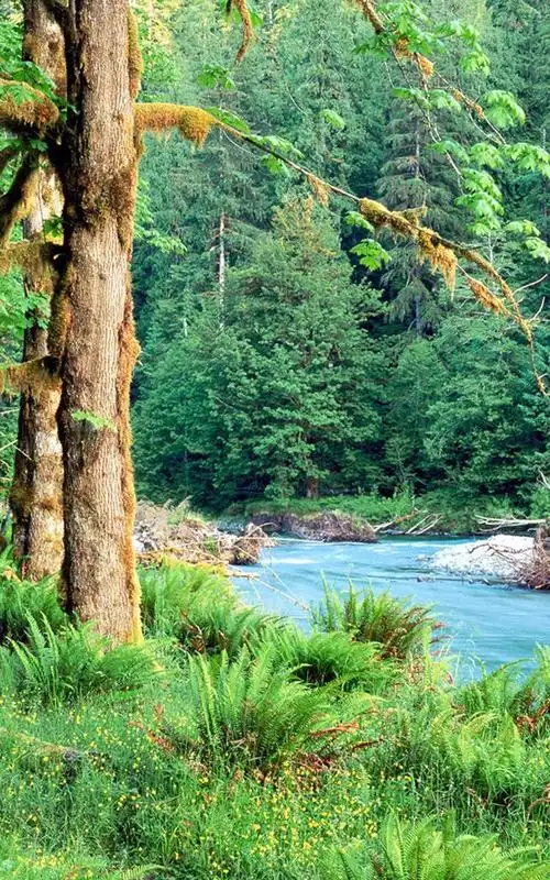 美丽的自然风景,可以做手机壁纸,很美