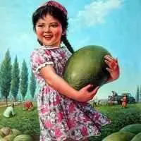 70后适合的头像 最新适合70后的头像_微信头像图片大全