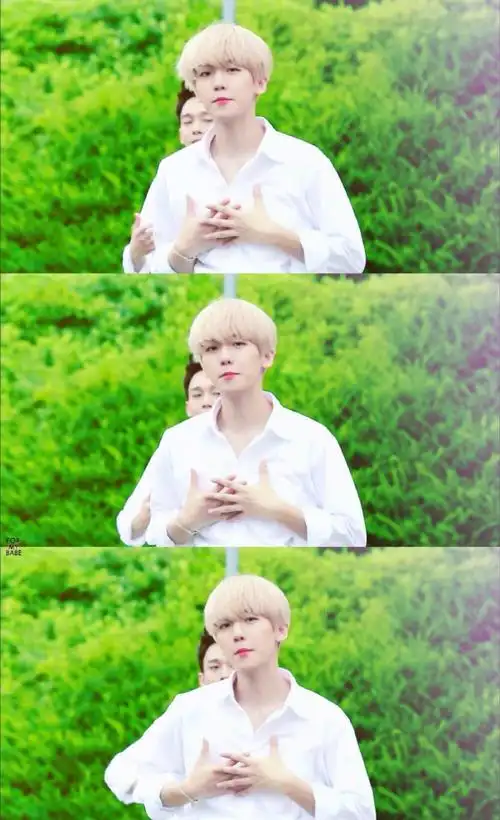 边伯贤,边精灵,啵啵虎,金发