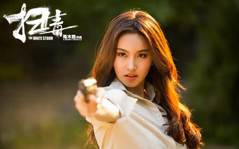 《扫毒》高清影视桌面壁纸