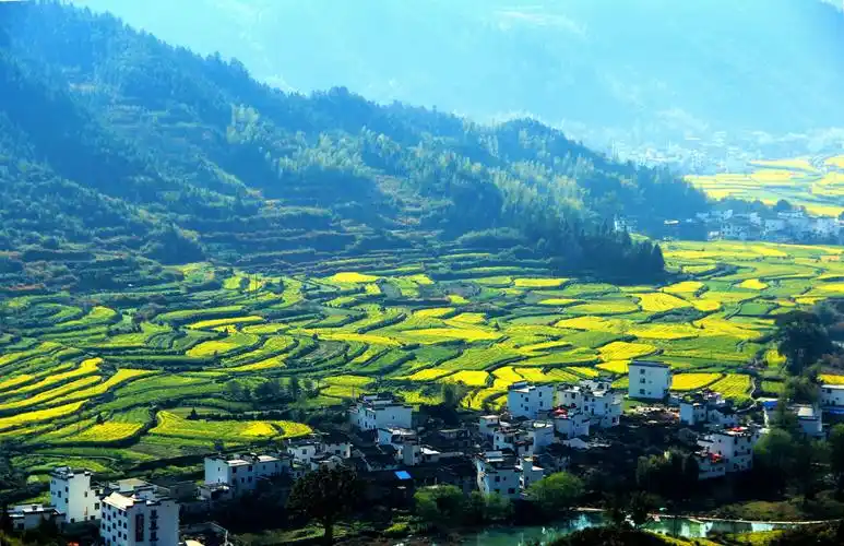 大美婺源------江岭