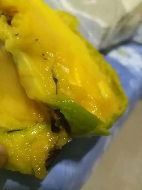 芒果这样是坏了吗,中间是胡的部分,上面是坏了吗,吃一半了,梦中毒吗