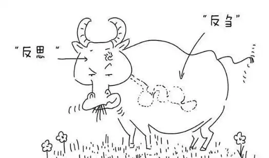 就像牛羊把已经吞咽下的草食返回嘴里重新咀嚼一样,被称之为[反刍思维
