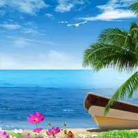 椰树海岛风景头像_微信头像图片大全