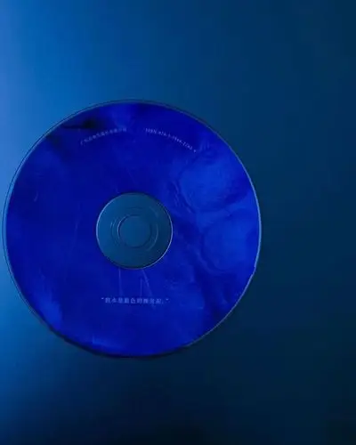 法兹乐队 《假水》专辑封面