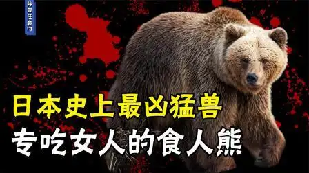 日本史上最惨野兽吃人案:专吃女人的食人熊,阴险狡诈仿佛成精!