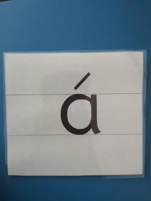 双河园幼儿园——幼小衔接预备3班 写美篇  复习巩固单韵母a及声调