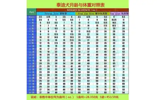 3个月泰迪体重对照表看看你家泰迪达标吗