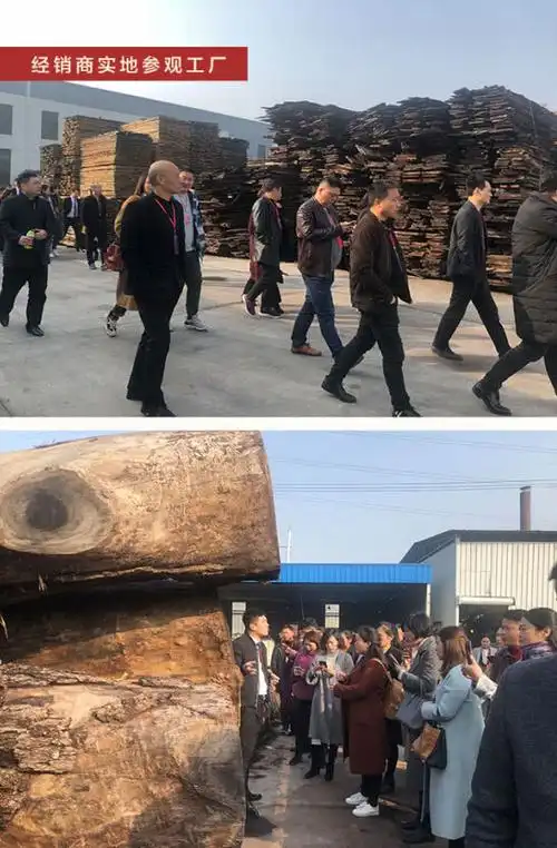 竹林共生澳势不凡2019澳凡新品交流会完美收官