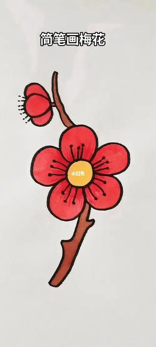 红色梅花大图简笔画 简笔画图片大全-普车都
