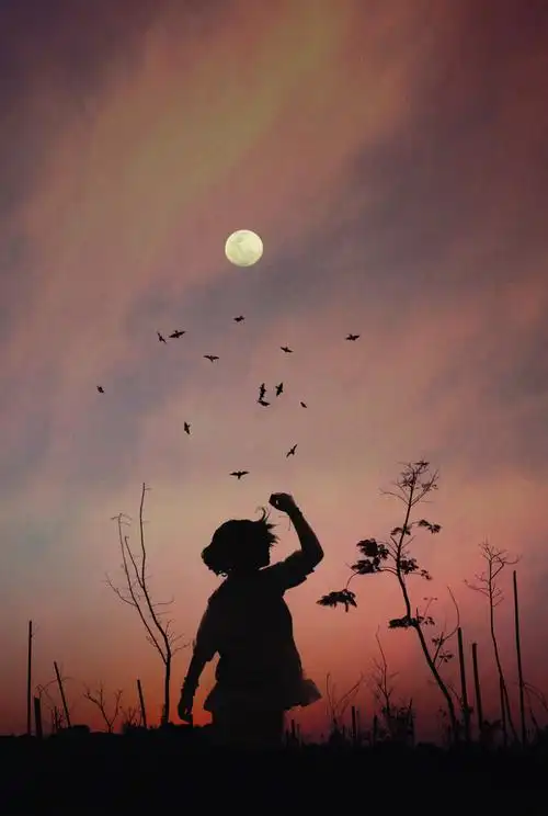 清新文艺梦想放飞心情