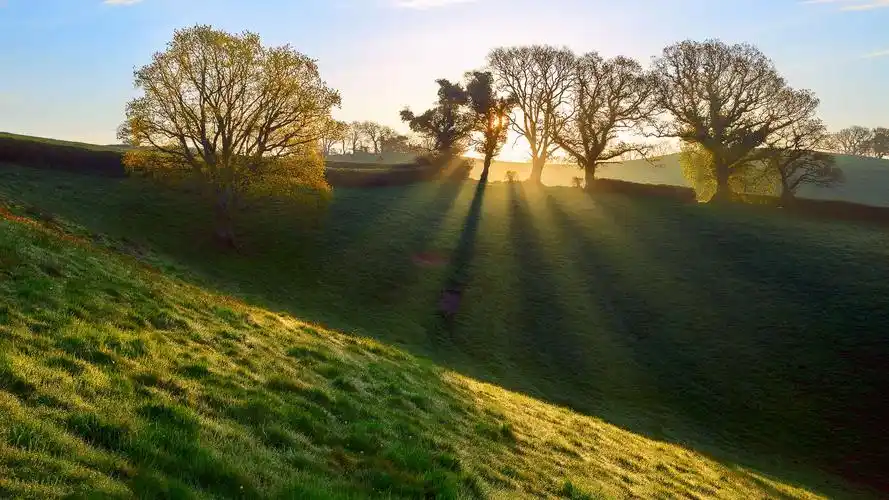 早晨的第一缕阳光,照进了屋内,我站在窗台迎接这一缕阳光.