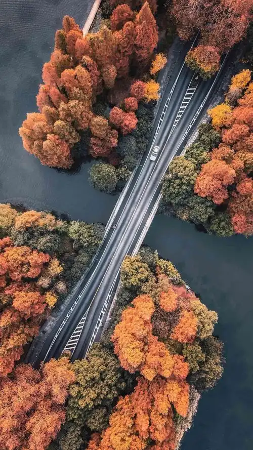 "世界最美"水上公路,高清图片,手机壁纸