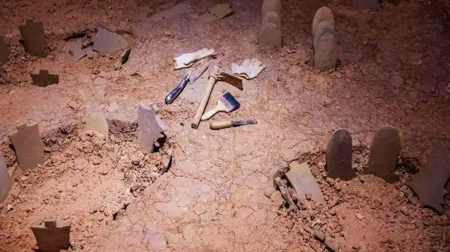 接到报警有人盗墓,现场真相后让人哭笑不得