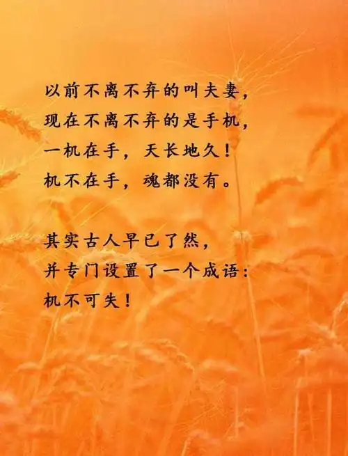 你若不离不弃类似句子,"你若对我不离不弃