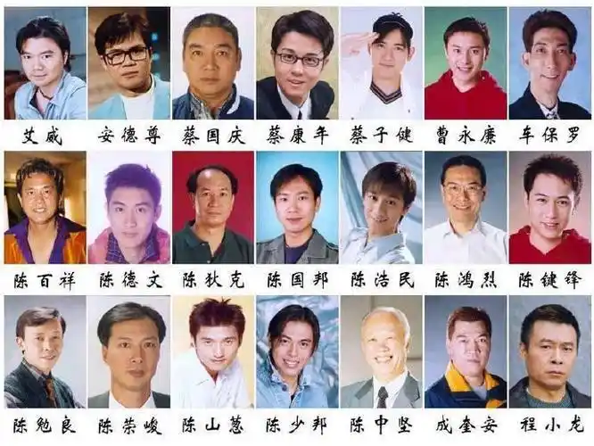 tvb的那些主角与配角们男演员篇