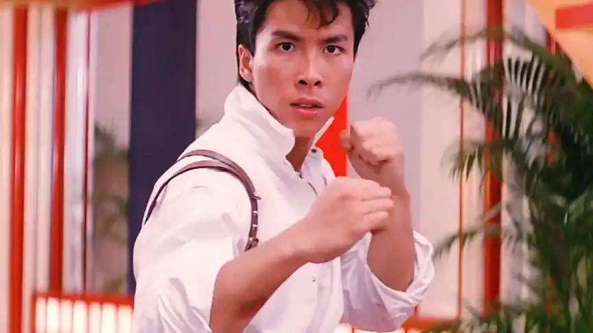 甄子丹年轻时的武打戏,动作快又非常流畅