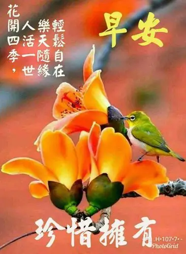 动态- 陌陌|发现移动社交