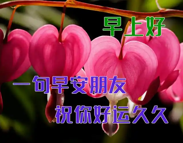 3月7日最漂亮的早上好动态表情图片大全,早上好动图美图大全!