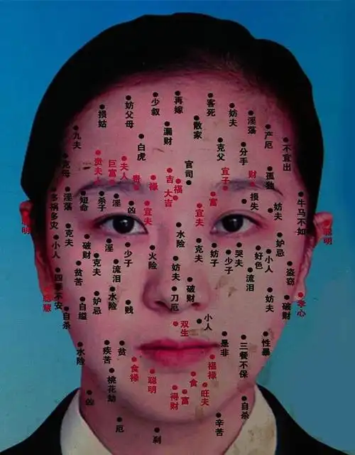 男人面部痣相图解男性面部痣相图解大全痣相女人脸部痣相图解痣长这