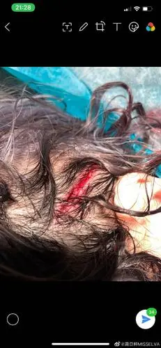 不是要炒新聞##要尊重所有人的生命