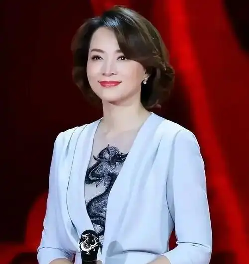 原创央视董卿梦碎豪门富豪丈夫破产失联成老赖美国籍儿子遭群嘲