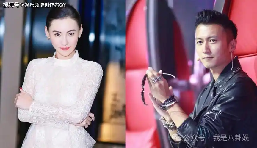 张柏芝拿出三胎亲子鉴定,谁也不会想到,谢霆锋假面藏的这么深_感情