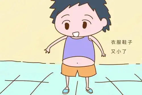 看,我长高了.这个菠萝超大的.好饿呀,想吃汉堡包,鸡腿,糖果.