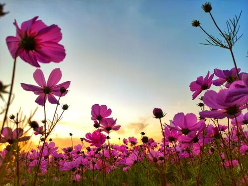 如何在朋友圈发一组赏心悦目的风景照